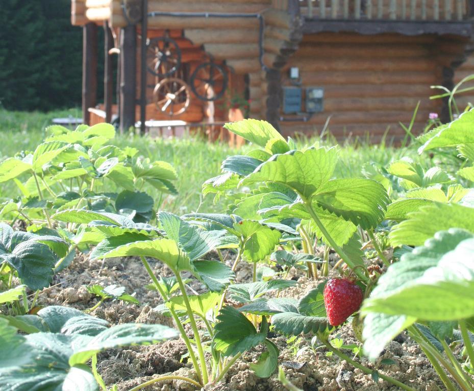 Sadyba Drymba Skhidnytsia Exterior foto